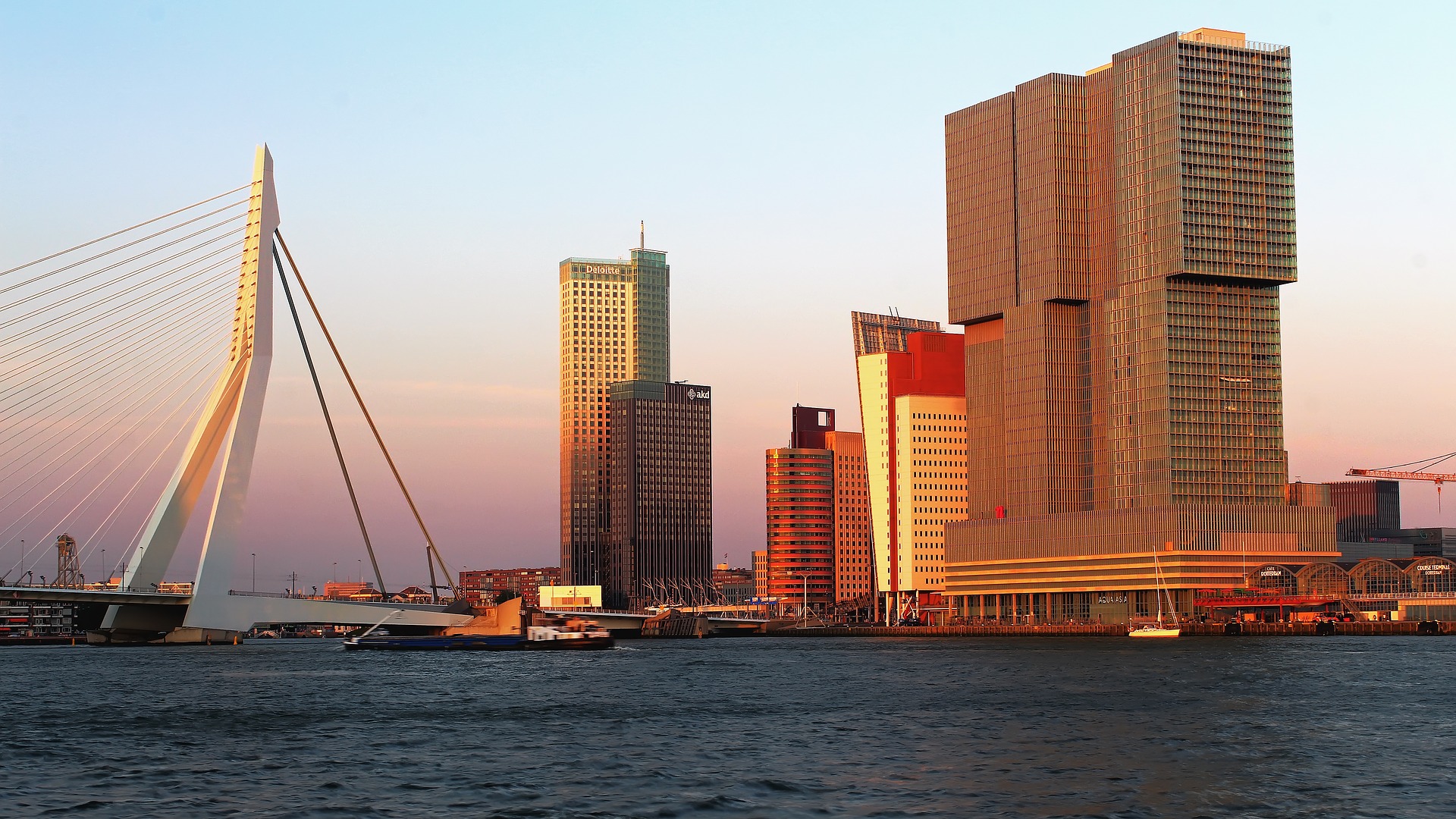 Stunning aerial shot of the Erasmus Bridge and Rotterdam skyline at dusk